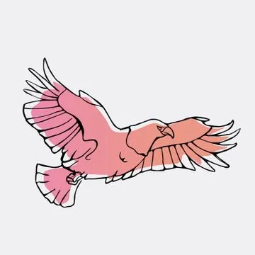 Hand-drawn graphics, bird predator, bird of prey Stock Illustration