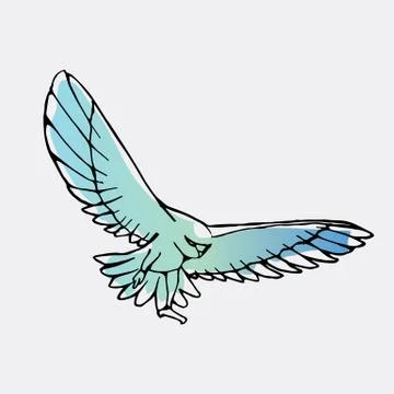 Hand-drawn graphics, bird predator, bird of prey Stock Illustration