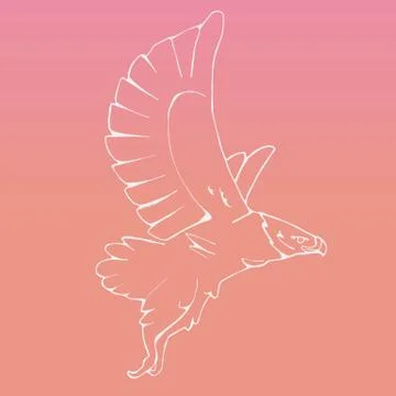 Hand-drawn graphics, bird predator, bird of prey Stock Illustration