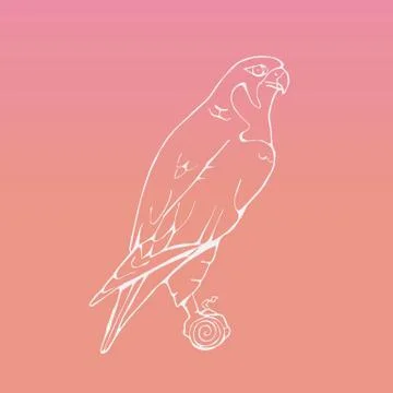 Hand-drawn graphics, bird predator, bird of prey Stock Illustration