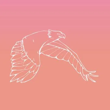 Hand-drawn graphics, bird predator, bird of prey Stock Illustration