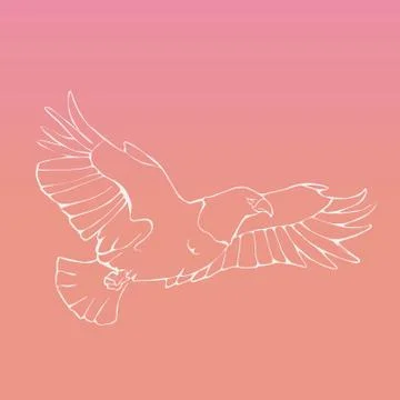 Hand-drawn graphics, bird predator, bird of prey Stock Illustration