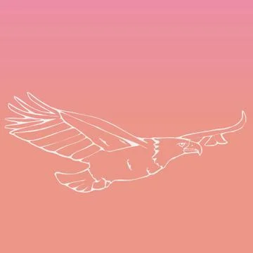 Hand-drawn graphics, bird predator, bird of prey Stock Illustration