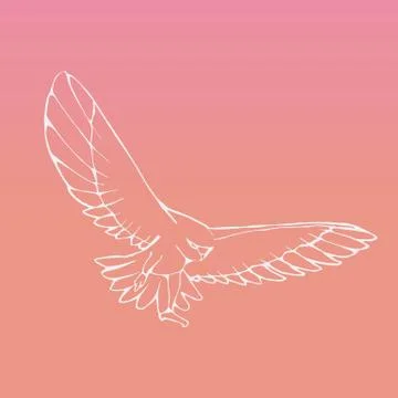 Hand-drawn graphics, bird predator, bird of prey Stock Illustration