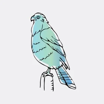 Hand-drawn graphics, bird predator, bird of prey Stock Illustration