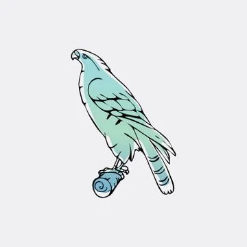 Hand-drawn graphics, bird predator, bird of prey Stock Illustration