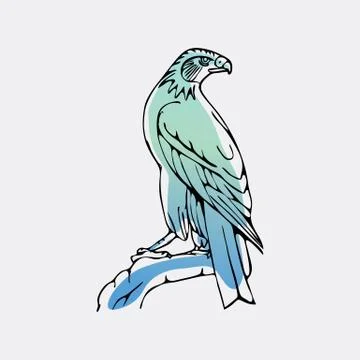Hand-drawn graphics, bird predator, bird of prey Stock Illustration