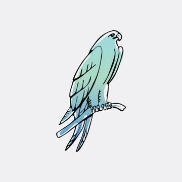 Hand-drawn graphics, bird predator, bird of prey Stock Illustration