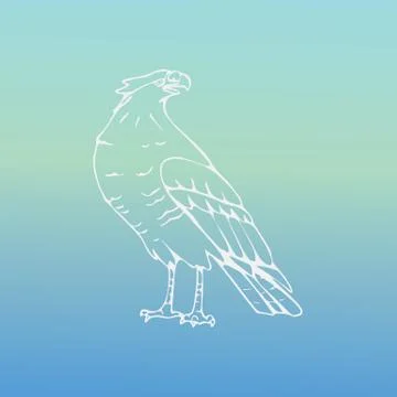 Hand-drawn graphics, bird predator, bird of prey Stock Illustration
