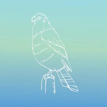 Hand-drawn graphics, bird predator, bird of prey Illustrazione stock