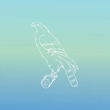 Hand-drawn graphics, bird predator, bird of prey Stock Illustration