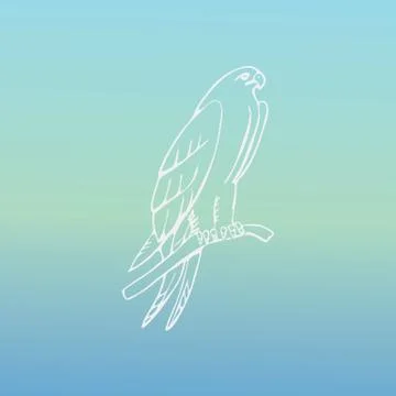 Hand-drawn graphics, bird predator, bird of prey Stock Illustration