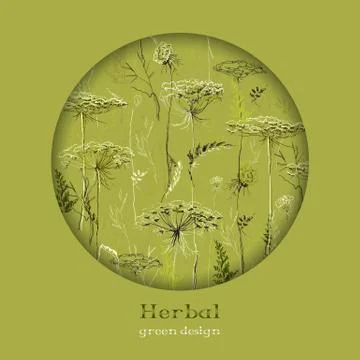 Hand drawn green herbs. Circle design background. Text place. Stock Illustration