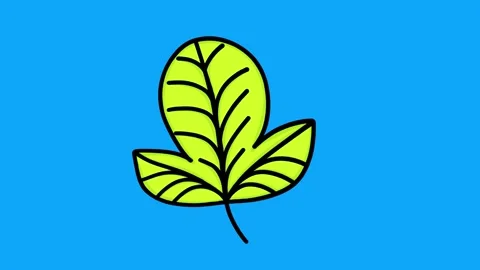 Hand Drawn Green Leaf 2D Animation on Blue Background Cartoon Doodle Plant Stock Footage 334608859