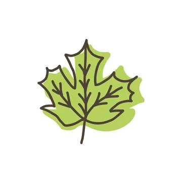 Hand drawn green leaf doodle vector icon isolated on white background Stock Illustration