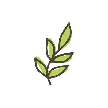 Hand drawn green leaf doodle vector icon isolated on white background Stock Illustration
