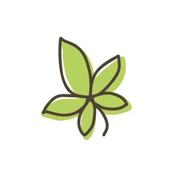 Hand drawn green leaf doodle vector icon isolated on white background Stock Illustration