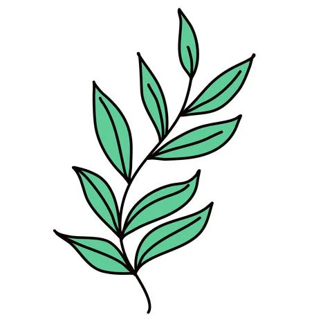 Hand-drawn green leaf isolated on white background Stock Illustration