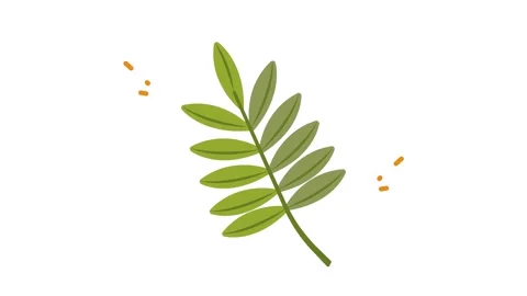 Hand Drawn Green Leaf Sprig Icon with Decorative Elements on White Background Stock Footage 345826613