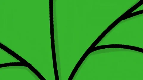 Hand Drawn Green Leaf Transition 2D Animation Transparent Background Cartoon Vidéo 334608902
