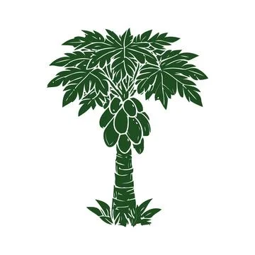Hand Drawn Green Palm Tree With Fruit Stockillustratie
