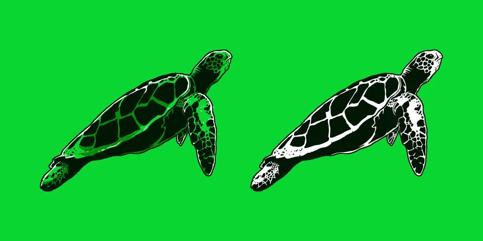 Hand-drawn green turtle vector illustration Stock Illustration