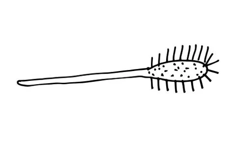 Hand drawn grooming tools Stock Illustration