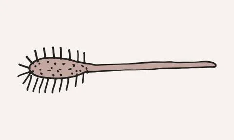 Hand drawn grooming tools Stock Illustration
