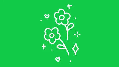 Hand Drawn Growing Flowers Garden Scene 2D Animation on Green Screen Stock Footage 336579098