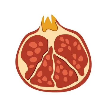 Hand drawn half of pomegranate fruit with seeds vector illustration Stock Illustration