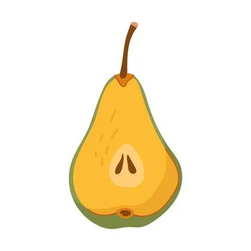 Hand drawn half of yellow pear fruit with seeds vector illustration Stock Illustration
