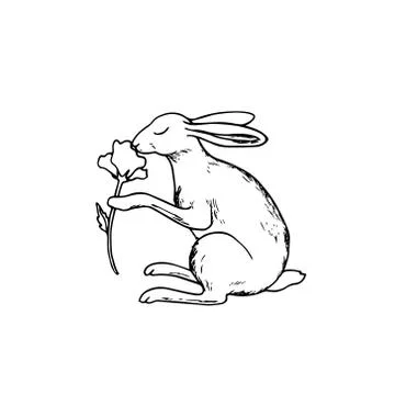 Hand drawn hare Stock Illustration