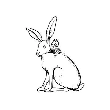 Hand drawn hare Stock Illustration