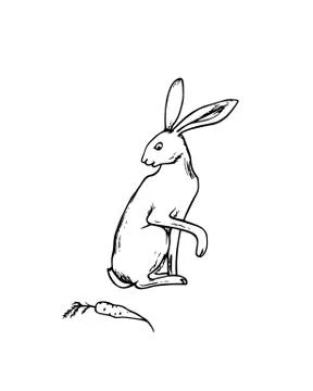 Hand drawn hare Stock Illustration