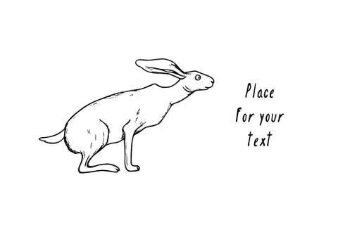 Hand drawn hare Stock Illustration