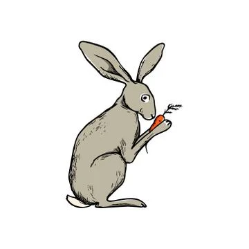 Hand drawn hare Stock Illustration