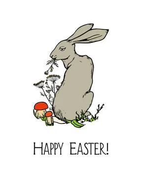 Hand drawn hare Stock Illustration
