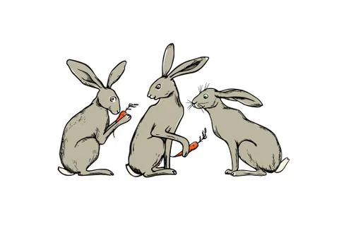 Hand drawn hares Stock Illustration