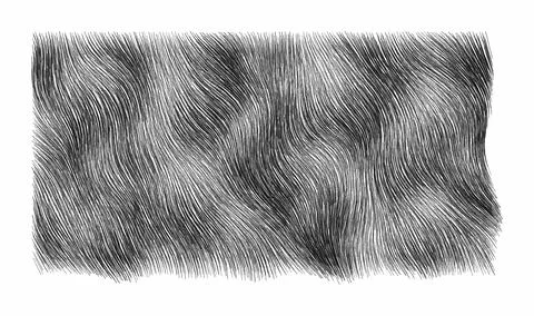 Hand drawn hatching lines texture pattern. Monochrome wavy ink strokes. Det.. Stock Illustration