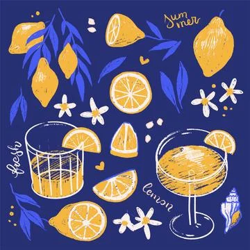 Hand drawn hatching sketch style citrus fruits set. Vector cute elegant doodle Stock Illustration