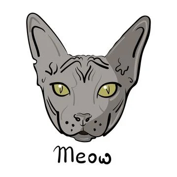 Hand-drawn head of a sphinx cat. Vector illustration. Stock Illustration