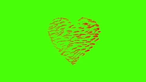 Hand-Drawn Heart Explosion Animation on Green Screen Video stock 321708010