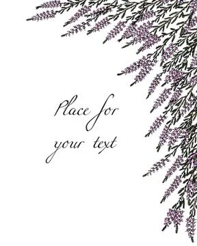 Hand drawn heather Stock Illustration