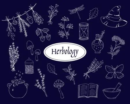 Hand-drawn herbology elements set. Green witch elements doodles. Green witc.. Stock Illustration