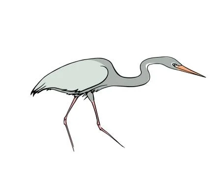 Hand drawn heron Stock Illustration
