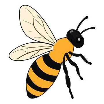 Hand Drawn Honey Bee Vector Illustration with Yellow and Black Stripes Ilustración de archivo
