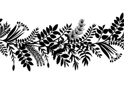 Hand drawn horizontal border of herbs and plants, vector illustration. Stock Illustration