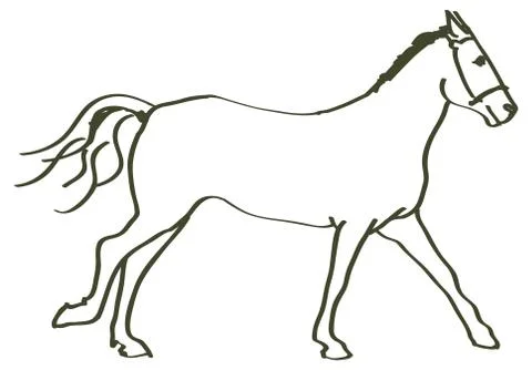 Hand drawn horse Illustrazione stock
