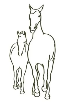Hand drawn horse Stock Illustration