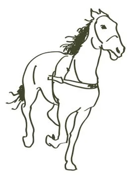 Hand drawn horses Stock Illustration